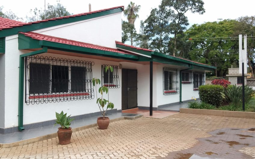 A 4Bedroom Bungalow to let   located in Runda .It has a spacious Livingroom and dining area .The Master Bedroom is ensuite with the rest of the bedrooms sharing the bathroom. The garden is mature with patches of flowers making beautiful shrubs with grass  covering up the rest of the compound.
