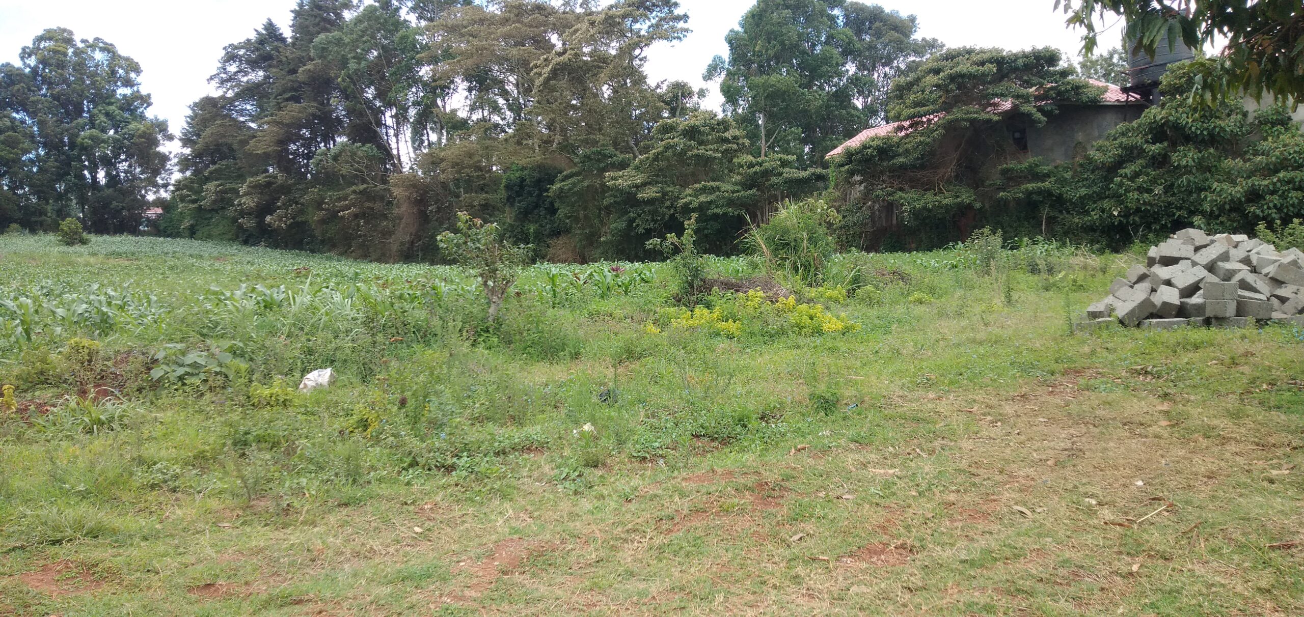 1/2 Acre Land for Sale in Gikambura