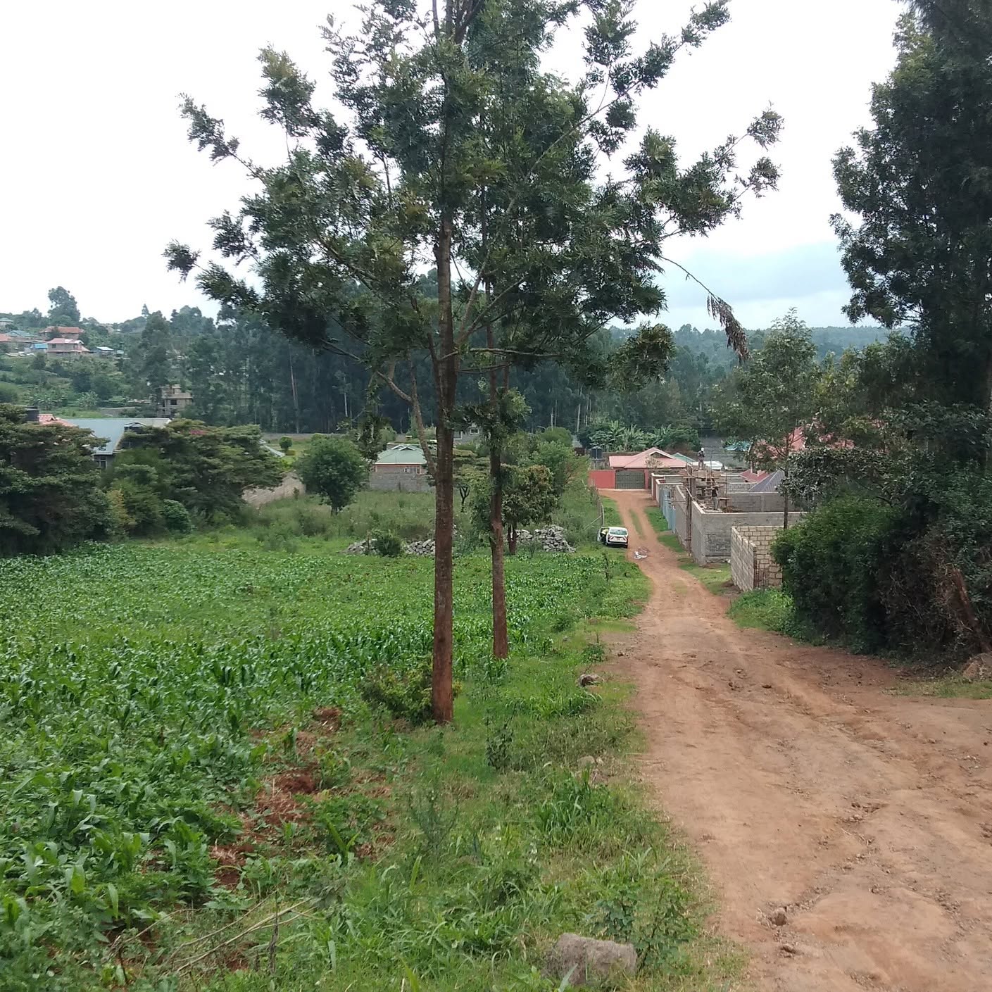 Prime Residential Land for Sale in Gikambura & Thogoto