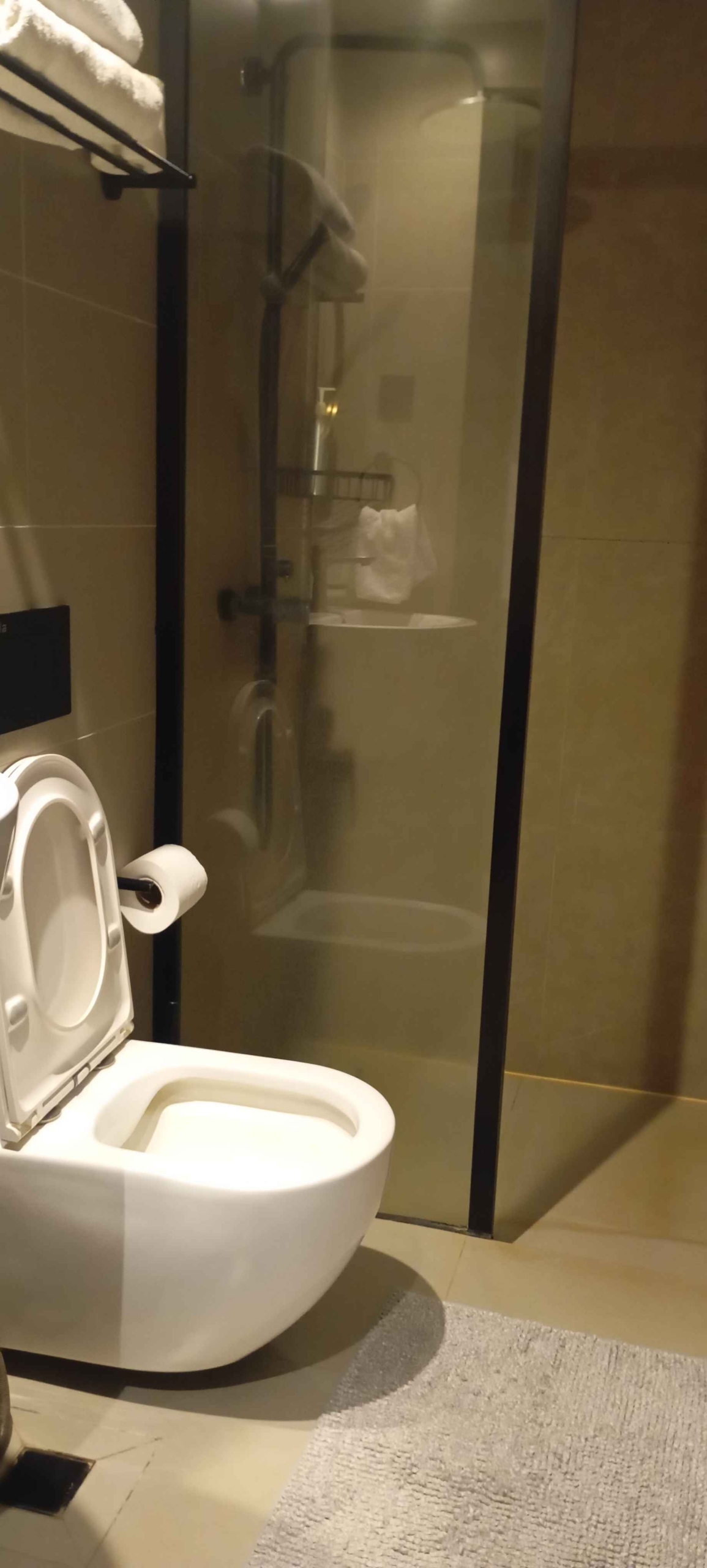 A FURNISHED STUDIO TO LET IN WESTLANDS