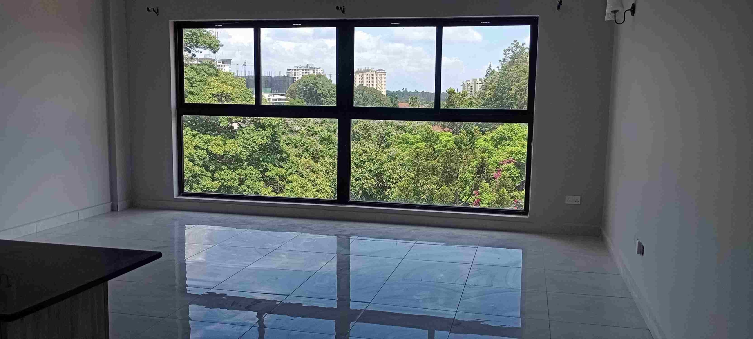 IMG_20251230_130248_1_11zon A Two Bedroom apartment to let in Westlands-School lane