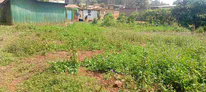 A 50 BY 100 Plot for sale in Lower Kabete -Rukubi