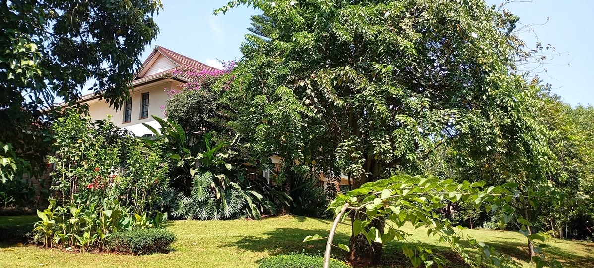 Runda 003 Exquisite 4-Bedroom All-Ensuite House to Let in Runda