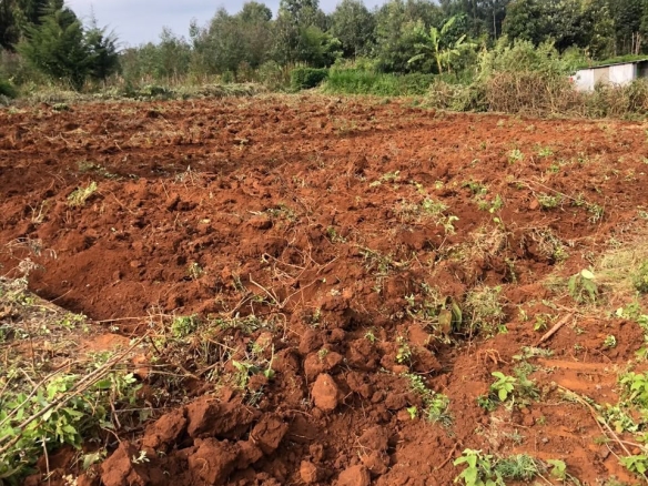 A 50 BY 100 Plot for sale the Kamangu