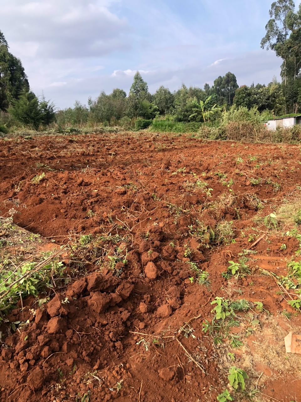A 50 BY 100 Plot for sale the Kamangu