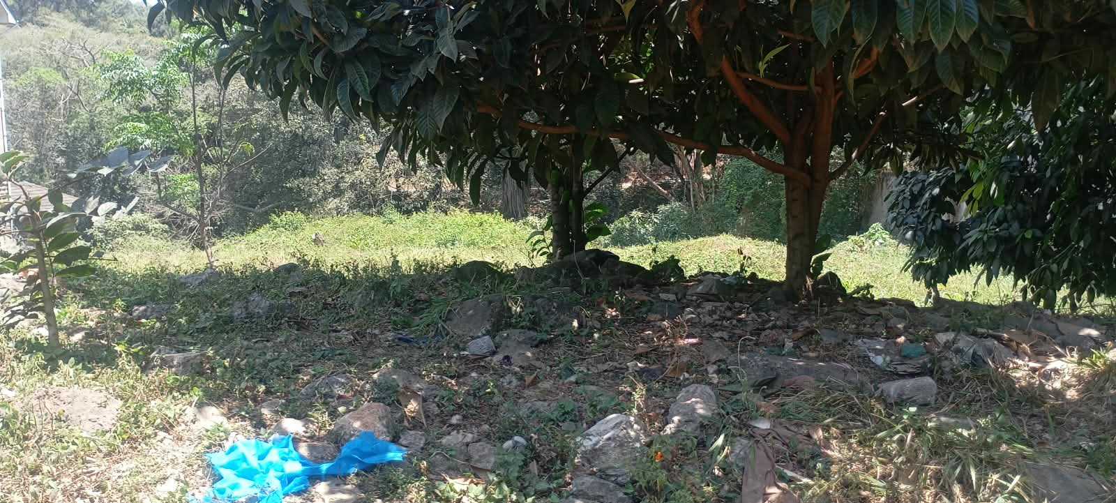 WhatsApp Image 2026-08-31 at 19.41.55 (1)_11zon ONE ACRE LAND FOR SALE IN RIVERSIDE -CHIROMO AREA