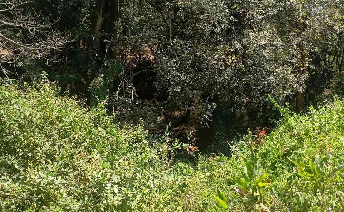 ONE ACRE LAND FOR SALE IN RIVERSIDE -CHIROMO AREA