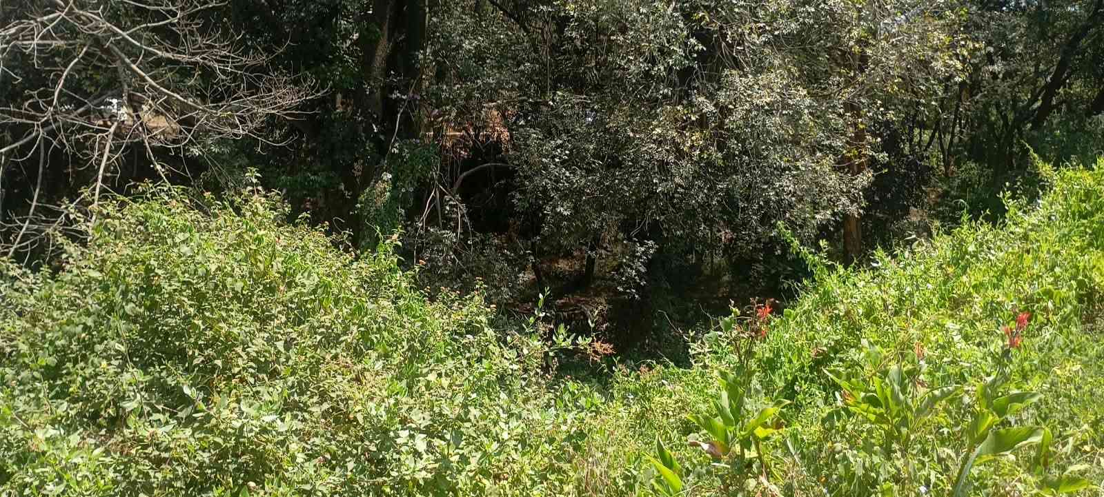 WhatsApp Image 2026-08-31 at 19.41.56 (1)_11zon ONE ACRE LAND FOR SALE IN RIVERSIDE -CHIROMO AREA