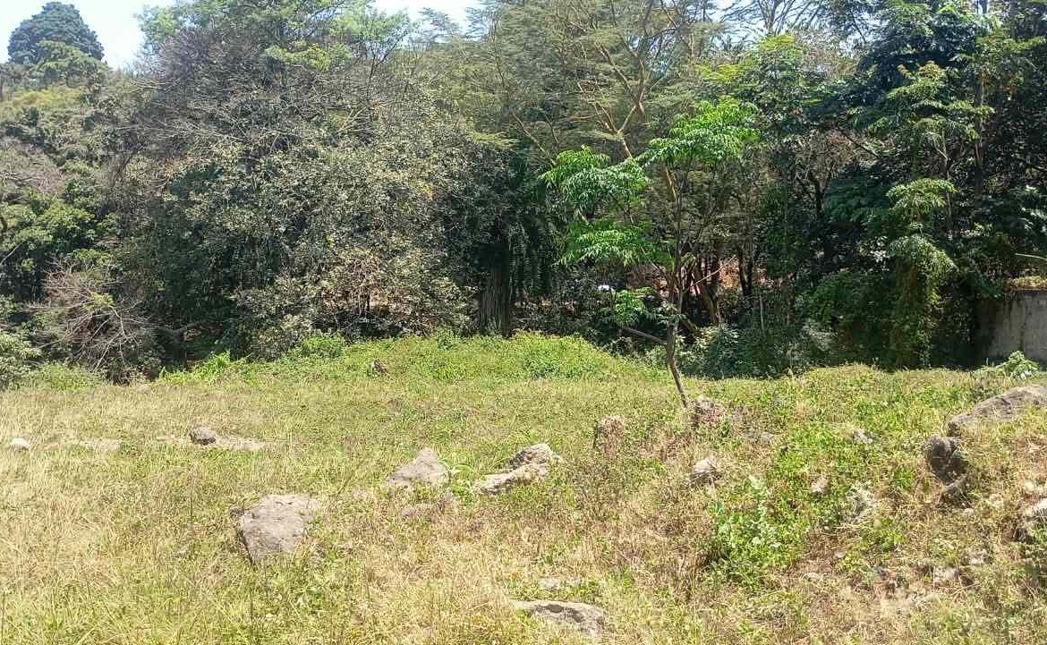 ONE ACRE LAND FOR SALE IN RIVERSIDE -CHIROMO AREA