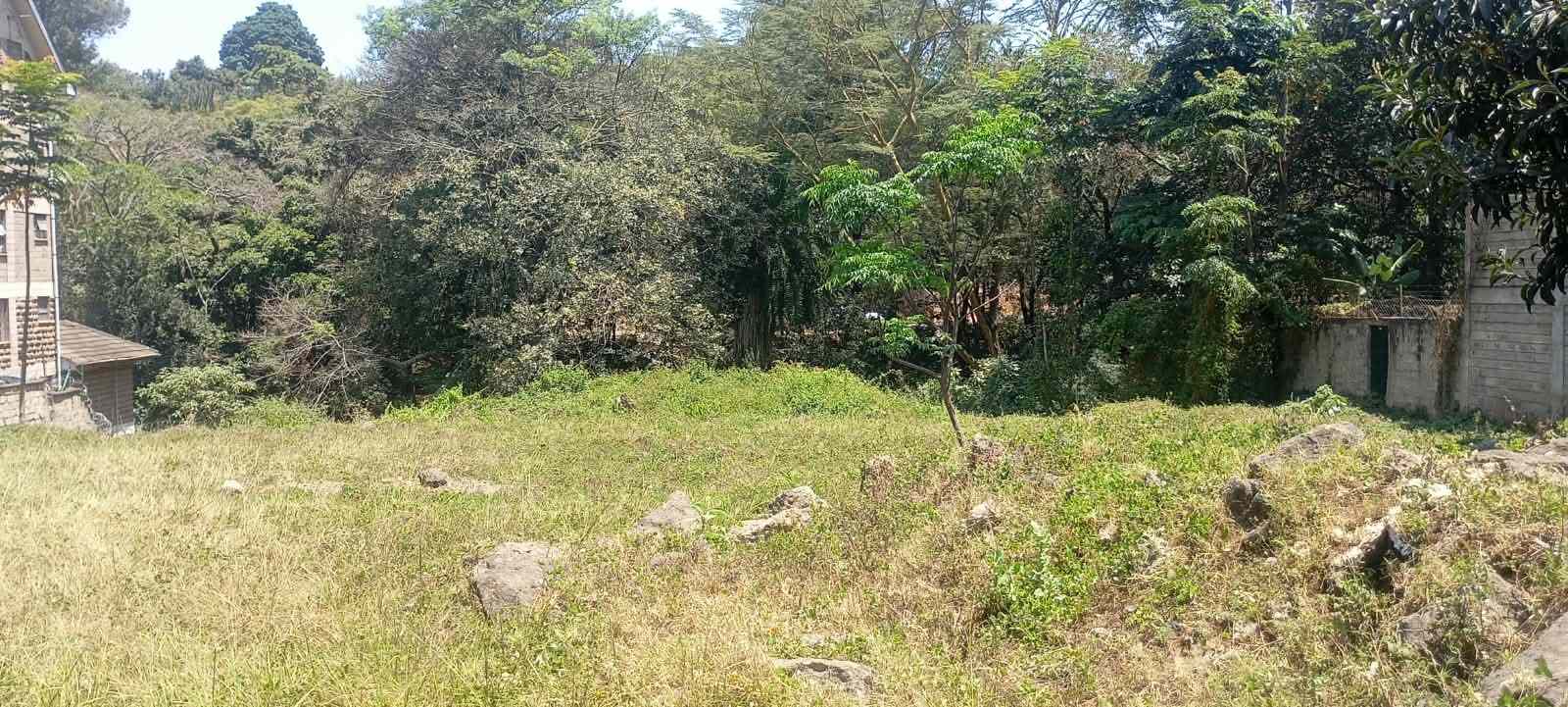 WhatsApp Image 2026-08-31 at 19.41.57_11zon ONE ACRE LAND FOR SALE IN RIVERSIDE -CHIROMO AREA