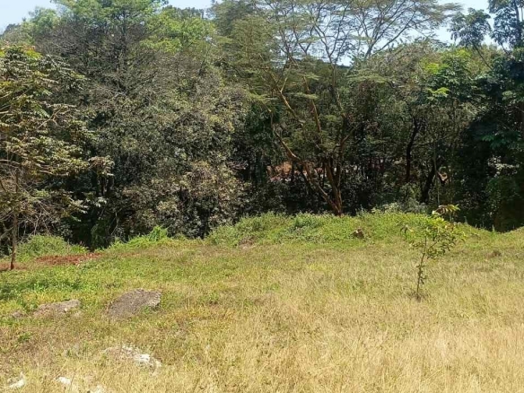 ONE ACRE LAND FOR SALE IN RIVERSIDE -CHIROMO AREA